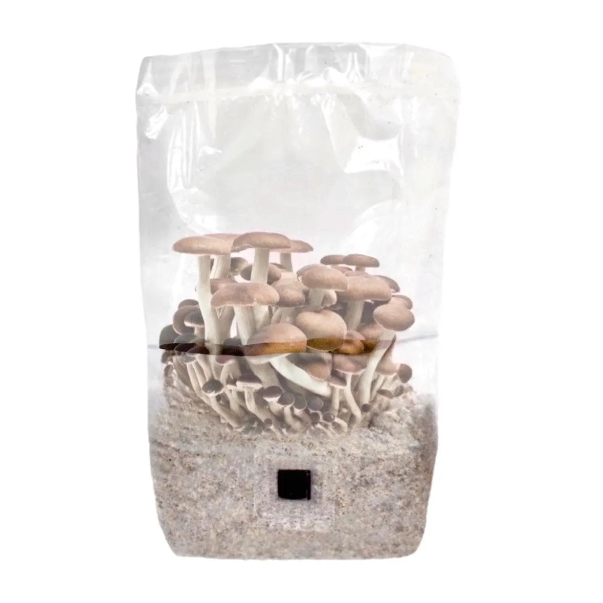 'ShroomTek'   Spore Boostr All-In-One Mushroom Grow Bag