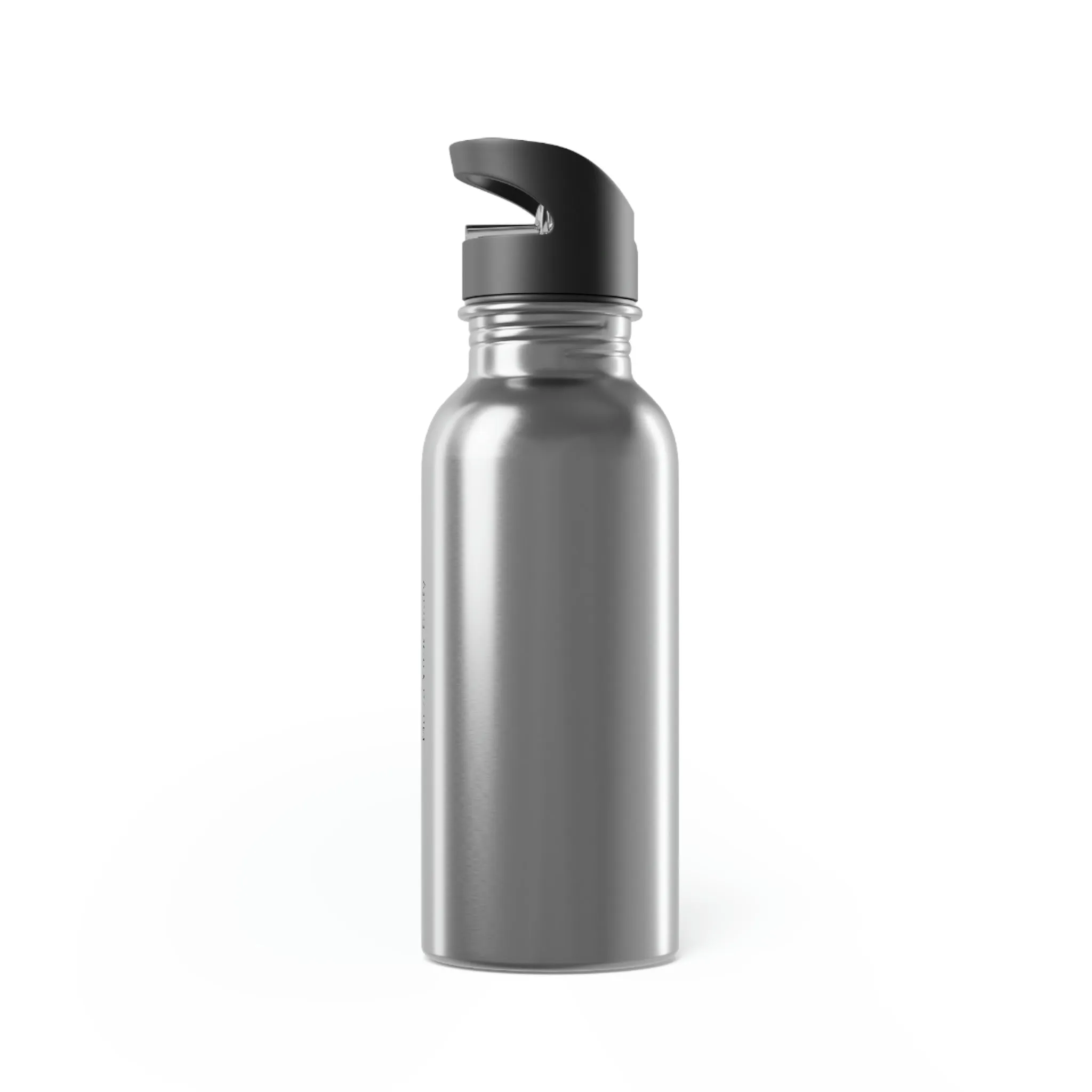 Stainless Steel Water Bottle With Straw, 20oz