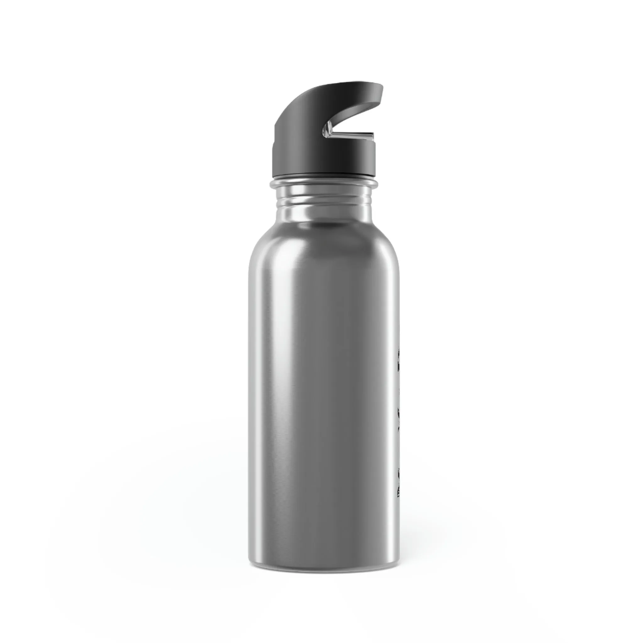 Stainless Steel Water Bottle With Straw, 20oz