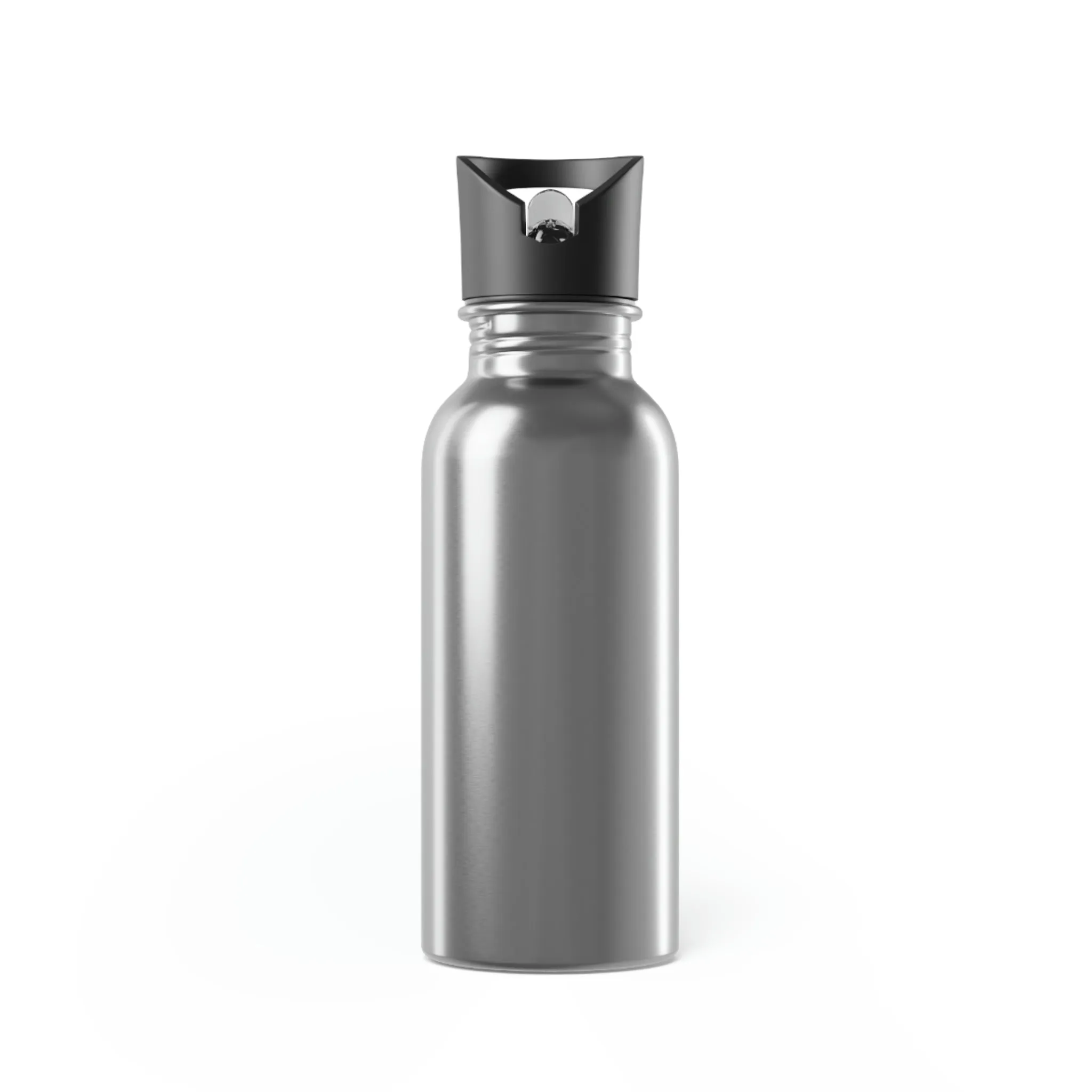 Stainless Steel Water Bottle With Straw, 20oz