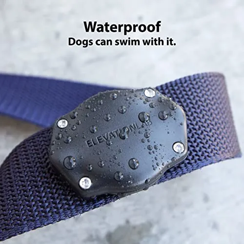 TagVault Pet: The Original AirTag Dog Collar Waterproof Mount