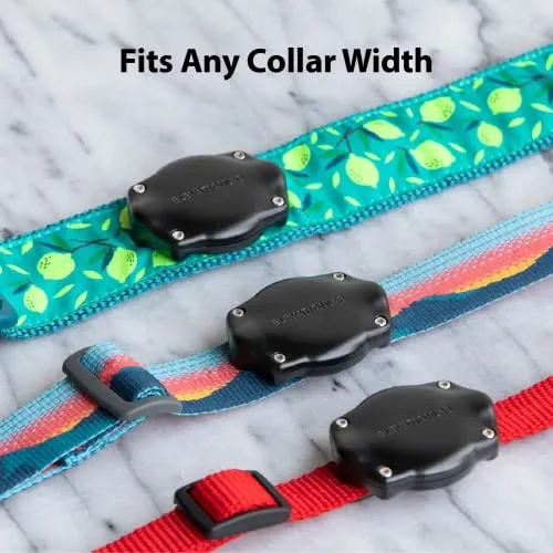 TagVault Pet: The Original AirTag Dog Collar Waterproof Mount